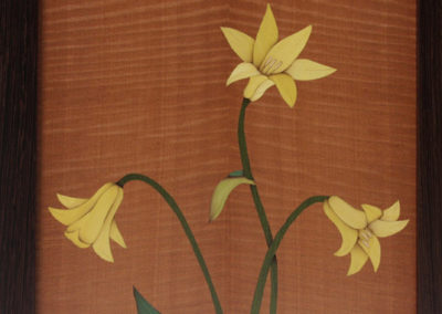 Canada Lily Marquetry Bookcase